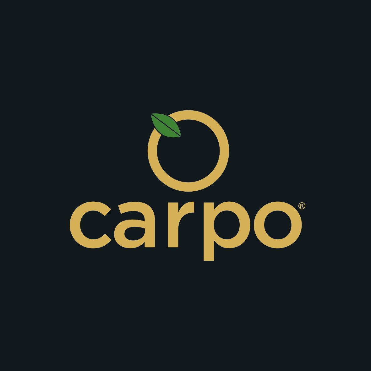 company logo