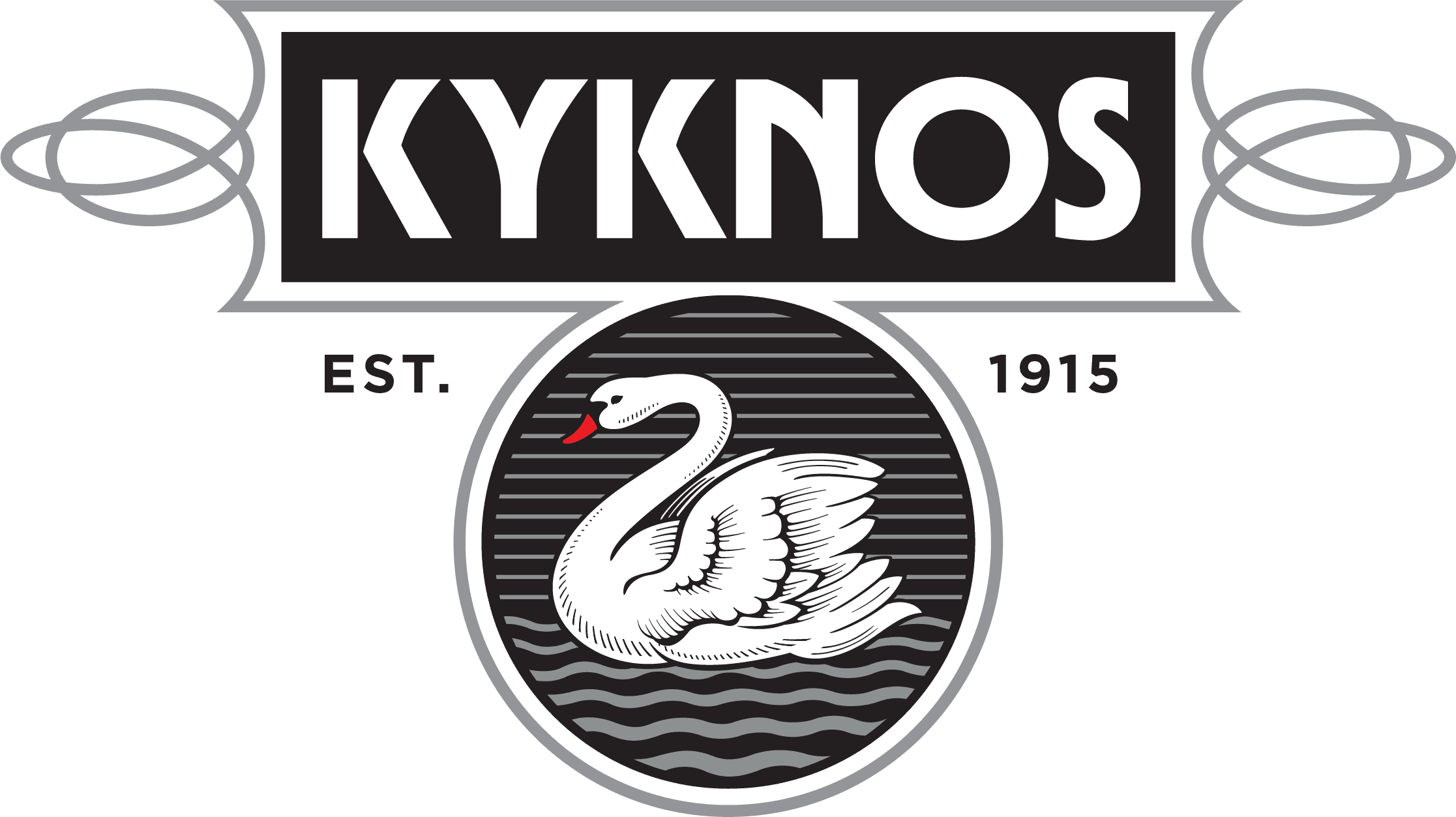 company logo